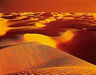 Alien: Rogue Incursion和《战地风云 6》首发支持DLSS 4